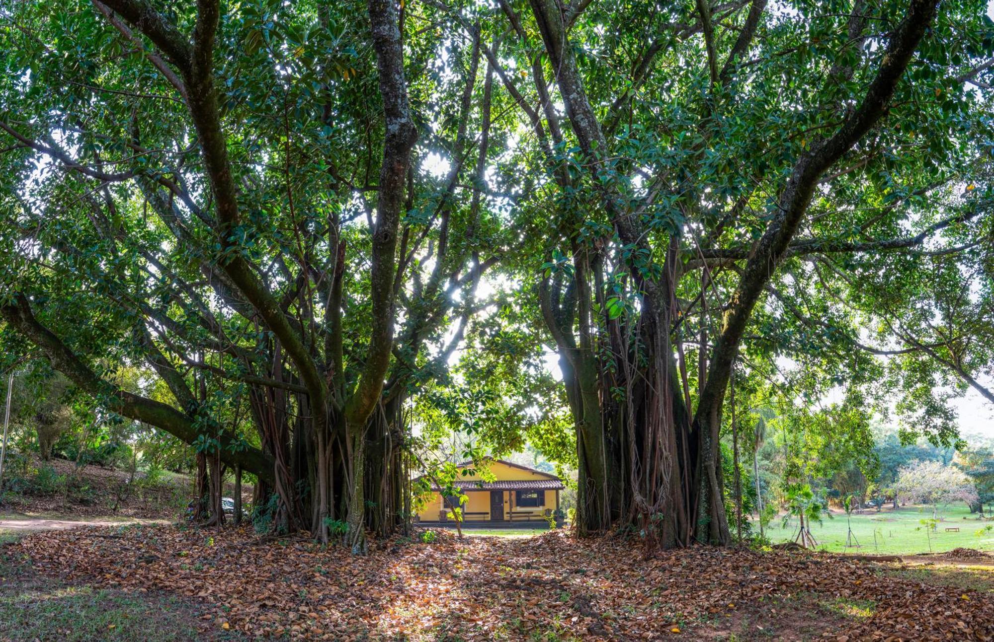 Hotel Fazenda Bela Vista Dourado Rum bild