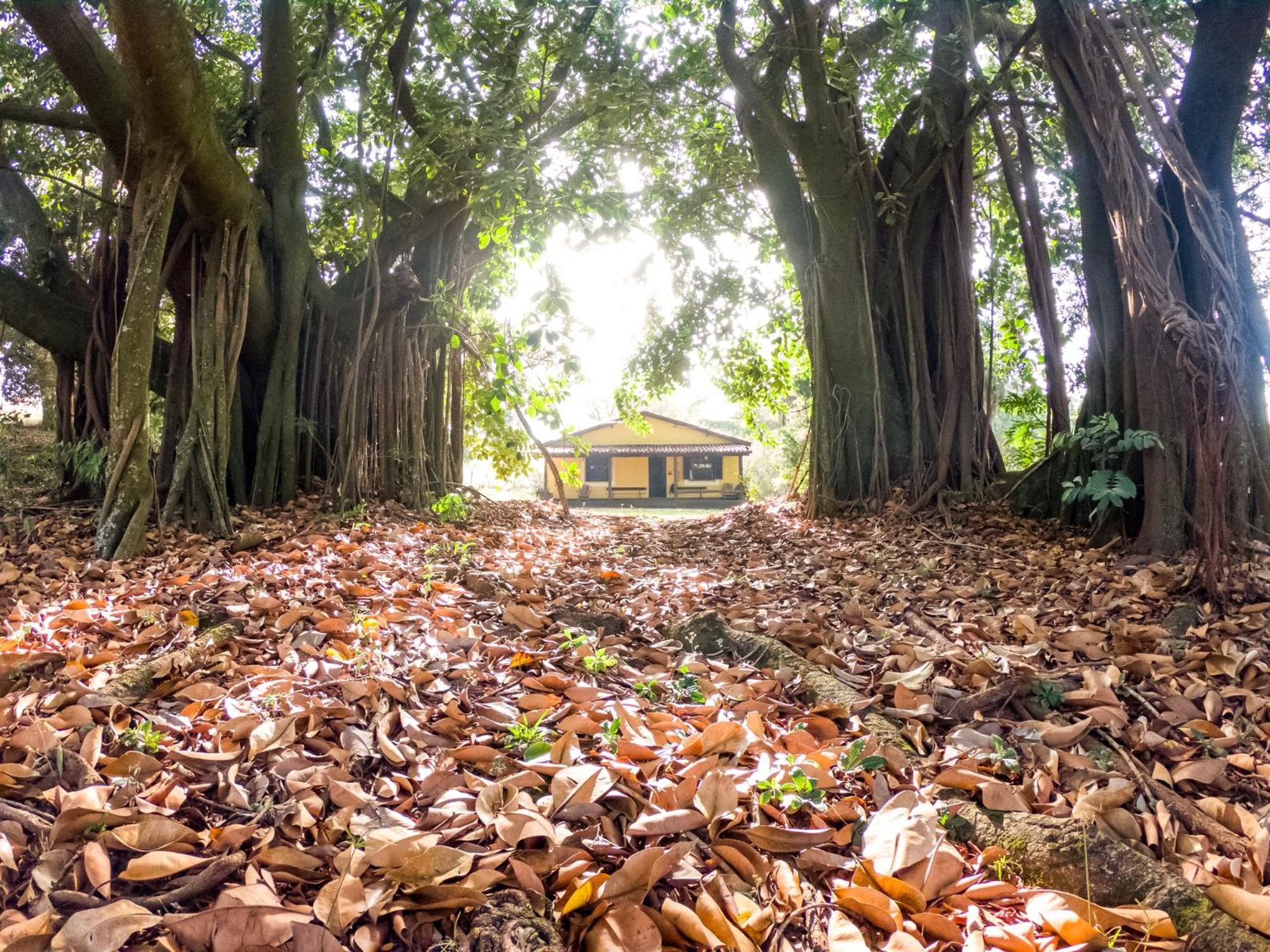 Hotel Fazenda Bela Vista Dourado Rum bild